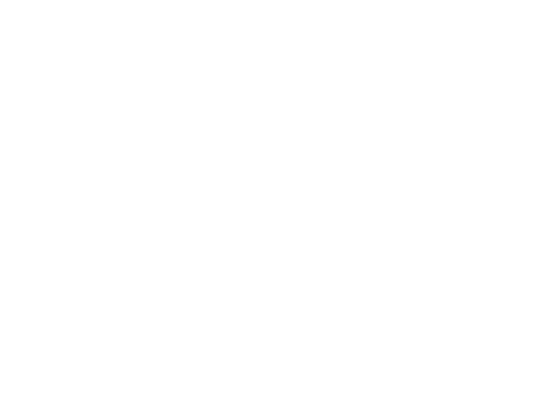 Casumo Logo