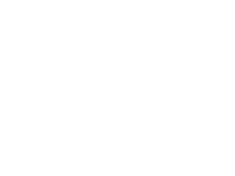 Rootz Logo